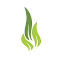 Ароматизаторы Ароматизаторы